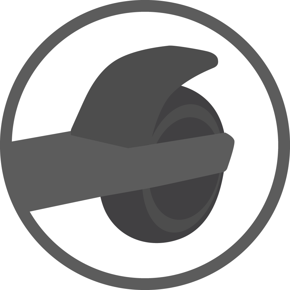 Dual Brake System
