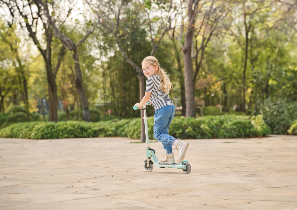 870 2 Wheel Foldable Scooter