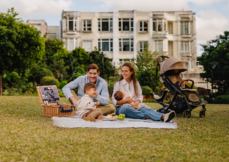 Details1 STROLL Series Compact Foldable Baby Stroller 1